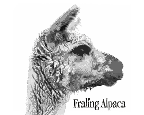 https://fraling.dk/CustomerData/Files/Images/Archive/3-logo/logo-alpaca_406.png