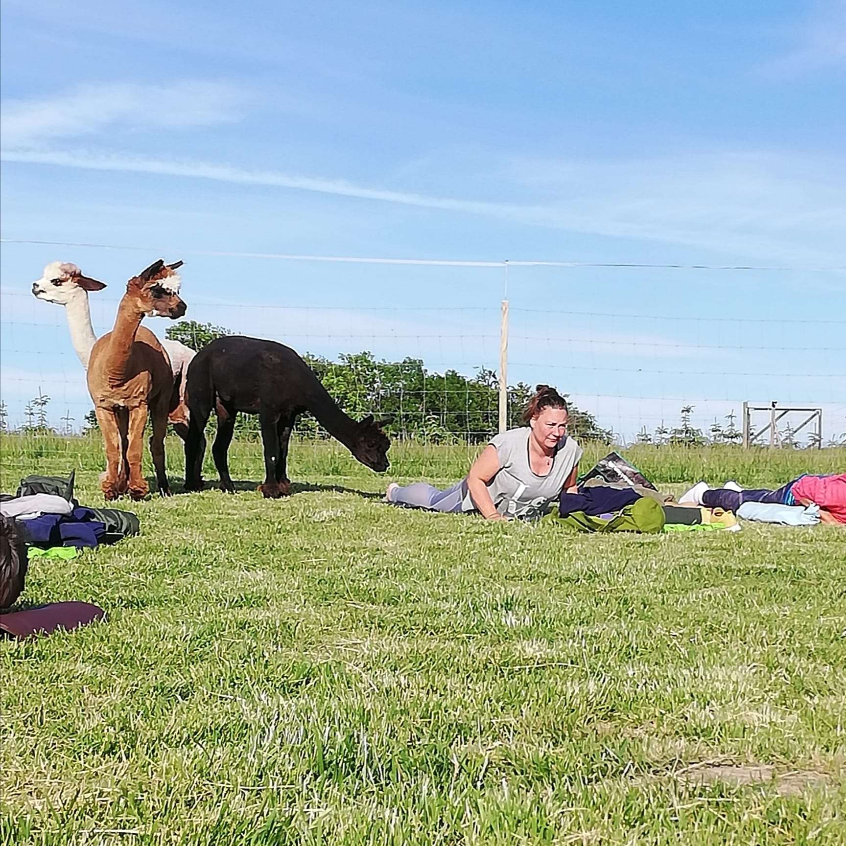 yoga på folden 1