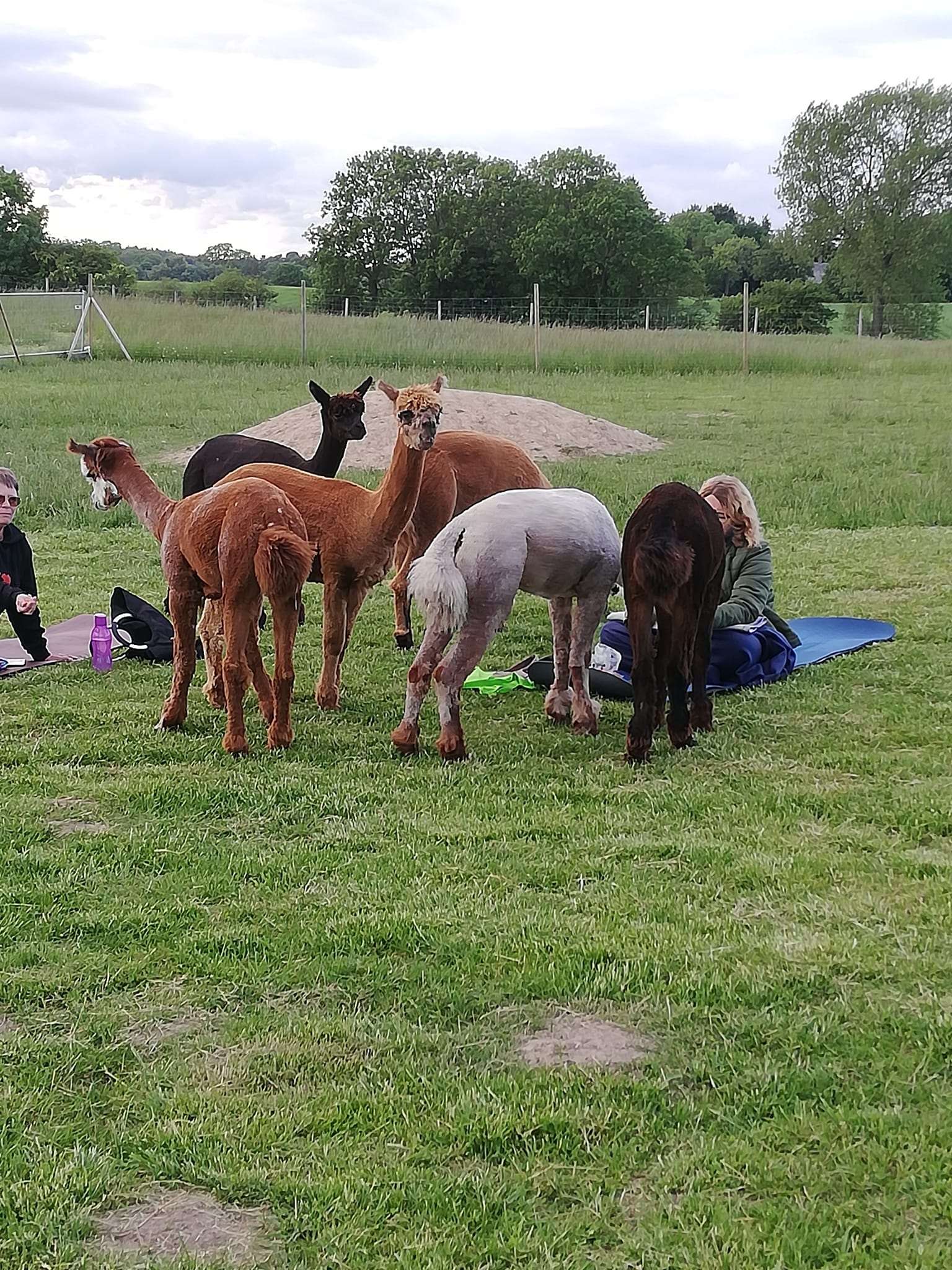 yoga på folden 2
