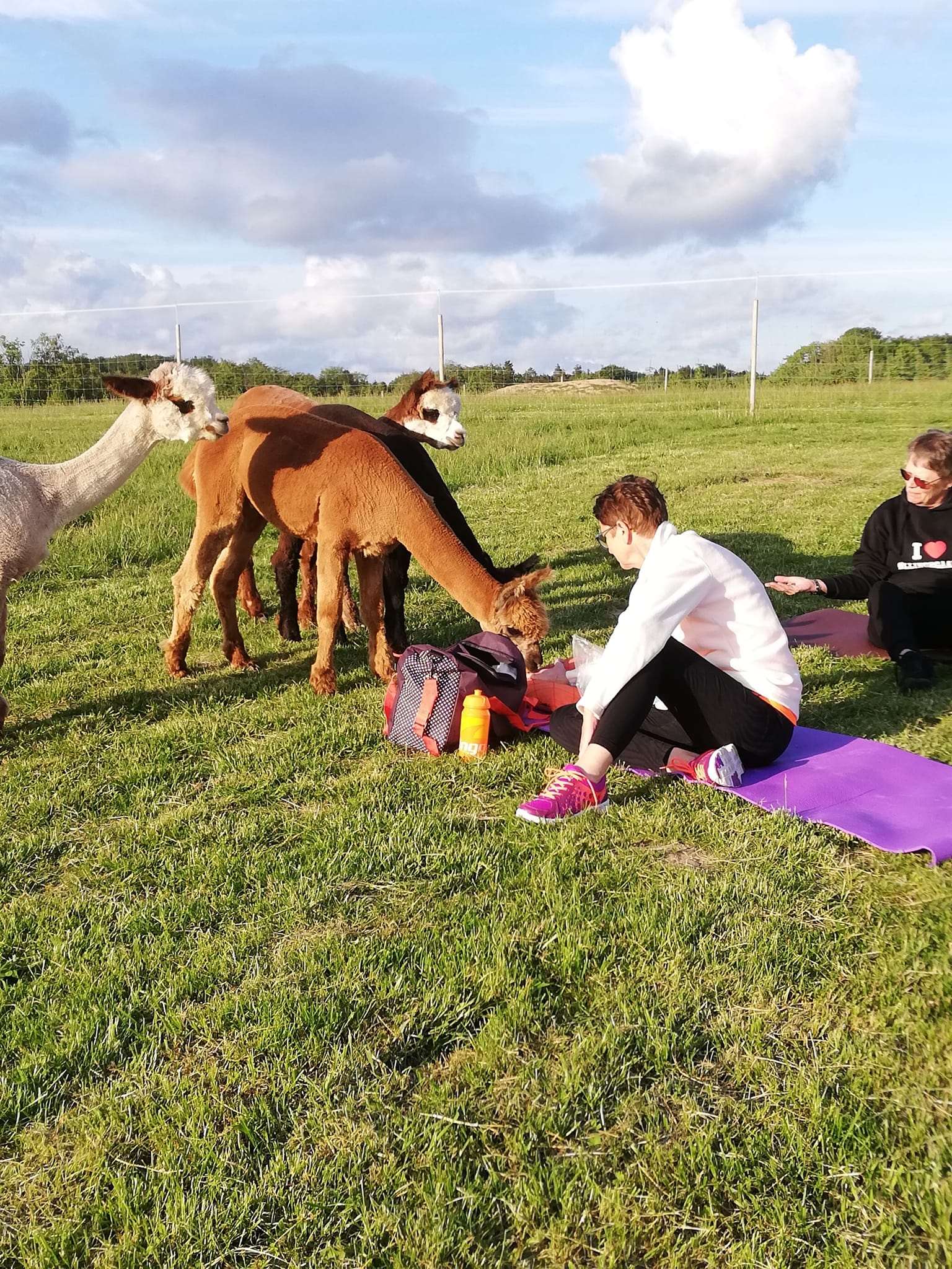 yoga på folden 3